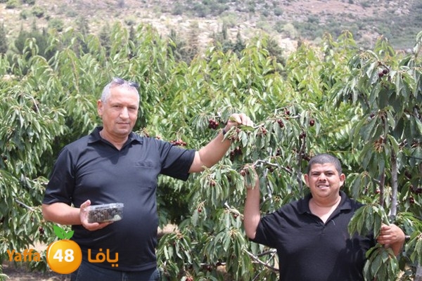 bayareq re7la shamal 0612 (85).JPG